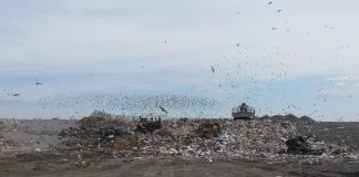 landfill waste