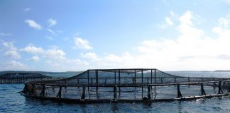 aquaculture ocean nature