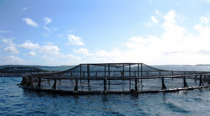 aquaculture ocean nature