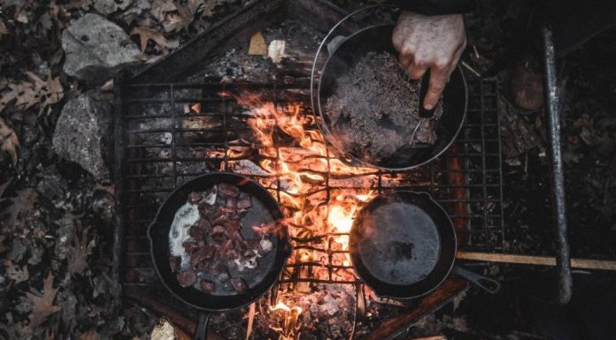 cooking-campfire-camping-healthy