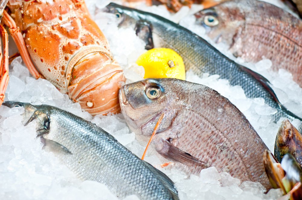 Lake vs. Ocean Fish: What You Need to Know - The Healthy Fish