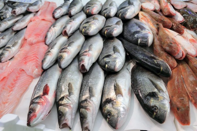 Is There a Maximum to How Much Fish You Can Eat? The Healthy Fish