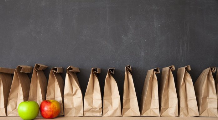 school lunch bags apples fruit