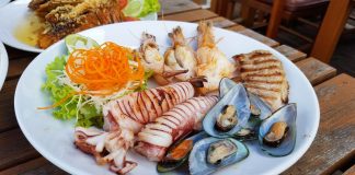 Plate of a variety of seafood