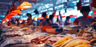 fish seafood market