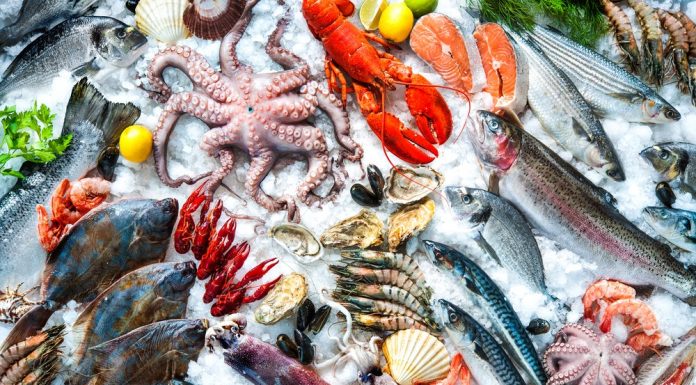 A selection of seafood on ice