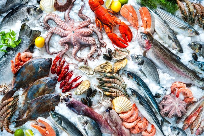 A selection of seafood on ice
