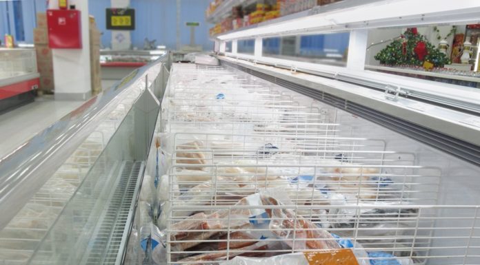 Frozen seafood in a grocery store