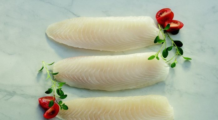 Tilapia Fillets