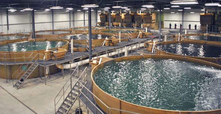 4 Common Methods for Aquaculture - The Healthy Fish