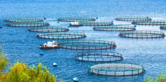 Common Aquaculture Methods