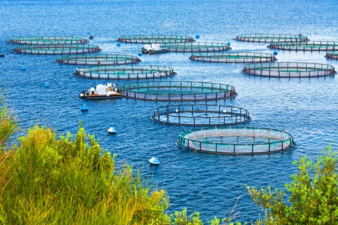 Common Aquaculture Methods