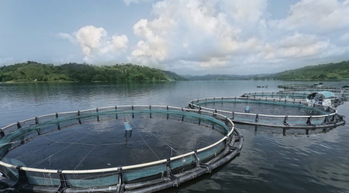 Help Support Responsible Aquaculture