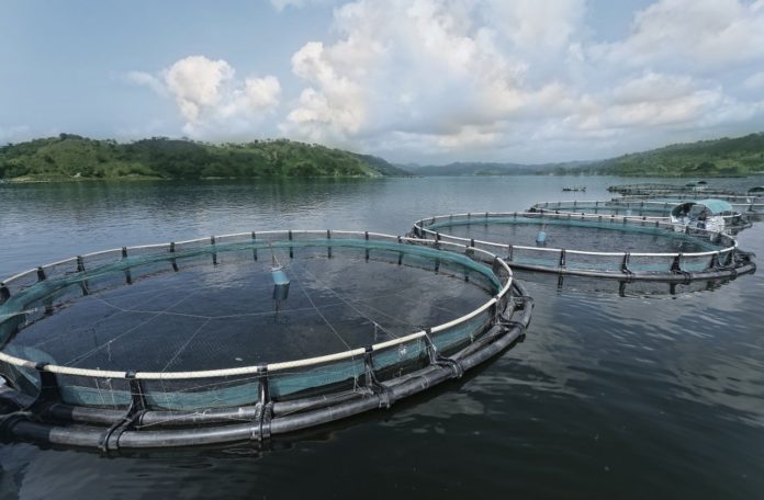 Help Support Responsible Aquaculture