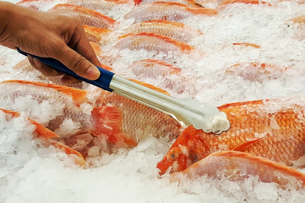 Questions To Ask About Fresh Vs Frozen Fish The Healthy Fish