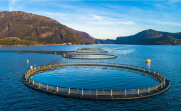 Landscape of aquaculture farm