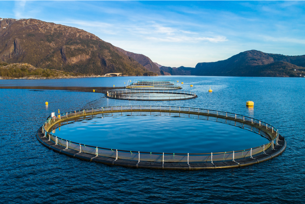 a-brief-history-of-aquaculture-the-healthy-fish